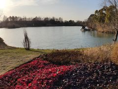 -苏州太湖国家湿地公园