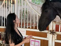 -名驭国际马术学院