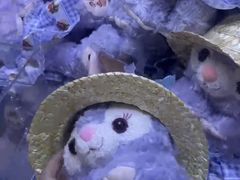 -酷洛小镇(步步高新天地购物广场店)