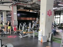 -GYMCARE VIVA(金开店)