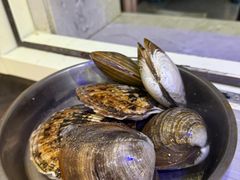-震海贝烤贝·民俗特色店(延吉总店)