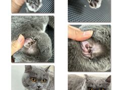 -悠尼宠物·独立低压伊珊娜洗护·美容·寄养(兰谷路店)