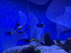 -南昌融创海世界