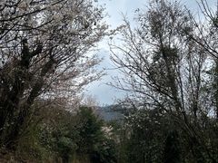 -樱桃山旅游景区