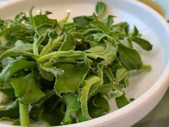 冰草-金时代顺风大酒店(金山店)