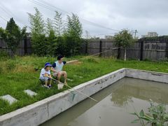 -南汇新场正宗水蜜桃采摘