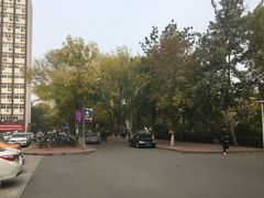 -老王豆皮
