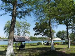 -长广溪湿地公园