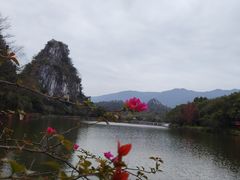 -星湖旅游景区七星岩