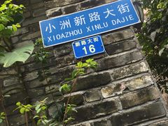 -小洲村