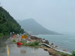 -杨梅坑