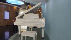 -比华利美容医院