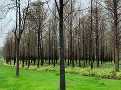 -上海山野camping·户外天幕烧烤·团建拓展营地
