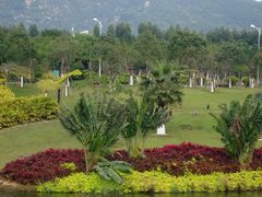 -厦门国家会计学院
