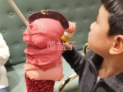 覆盆子冰淇淋-VENCHI 闻绮(北京国贸商城店)
