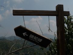 -大岭沟猕猴桃谷风景区
