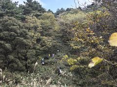 -罗田天堂寨风景区