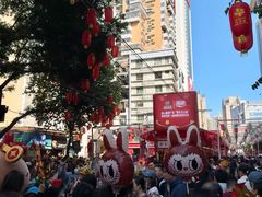 -越秀西湖花市(广州城市广场花卉店)