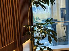 -淮香国色·淮扬菜(正大中心店)
