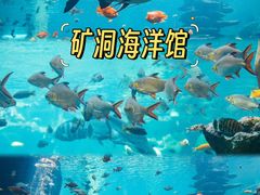 -长鹿旅游休博园