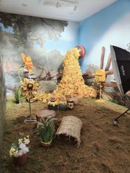 -爱儿美儿童摄影(奥森公园店)