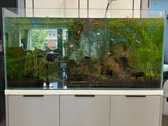 -佰丽爱家全屋定制(汶水店)