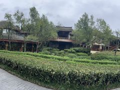 -青城山六善酒店·紫氣園中餐厅