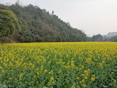 -贵阳市花溪国家城市湿地公园