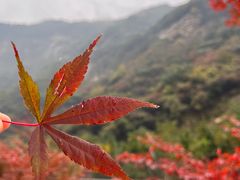 -华山风景名胜区