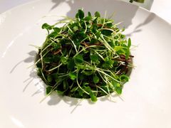 鸡汤豆苗-禧宴Joyous Restaurant(禧园店)