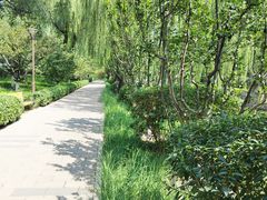 -元大都城垣遗址公园