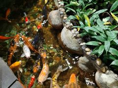 -上海大自然野生昆虫馆(东方明珠·爬宠昆虫探索中心)