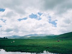-丰宁坝上草原