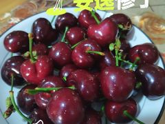 -盤古Spa泰式古法抓龙筋(鲁迅路店)