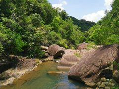 -广州白江湖森林公园