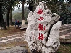 -香雪海