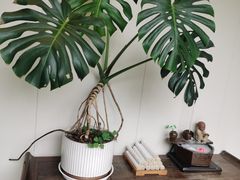 -莱蔻·圣灸堂·推拿艾灸(天山店)