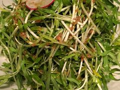捞汁空心菜苗-凤凰湘语(浦东旗舰店)