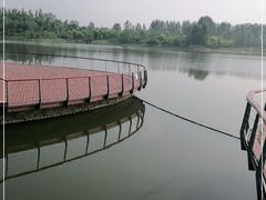 -东郊湿地公园