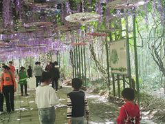 -苏州太湖国家湿地公园
