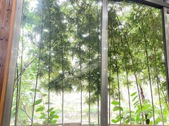 -绿雅居原生态农庄(小涌店)