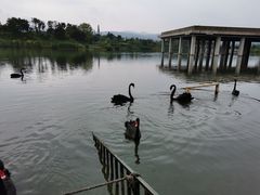 -三岔湖景区