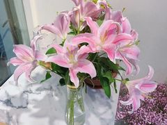 -花未央花店·WEYOUNG