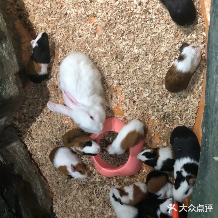 三千多平米的室内动物园你去过吗？