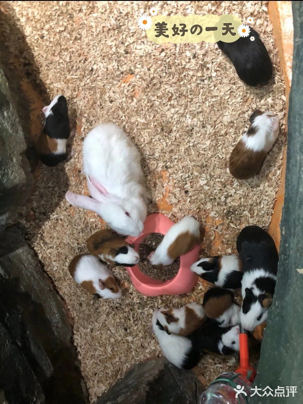 三千多平米的室内动物园你去过吗？