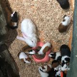 三千多平米的室内动物园你去过吗？