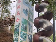 -欢乐松鼠谷
