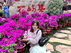 -沂蒙云瀑洞天景区