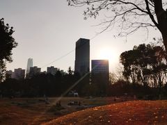 -后襄河公园