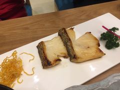 -一本钓鲔鱼屋